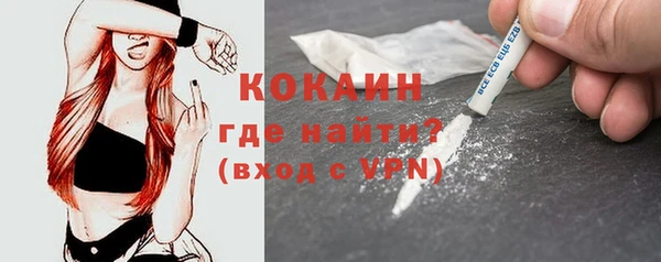 СК Осинники