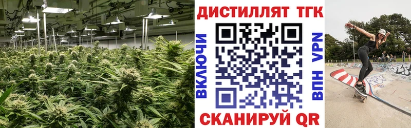 Купить где  Красавино  Дистиллят ТГК гашишное масло 