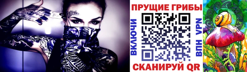 Купить  Красавино  Псилоцибиновые грибы мухоморы 
