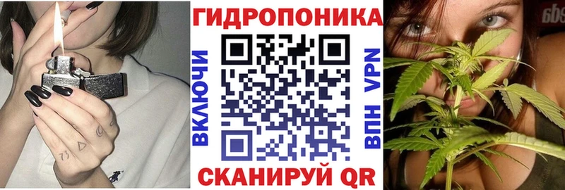 Канабис план  Купить  Красавино 
